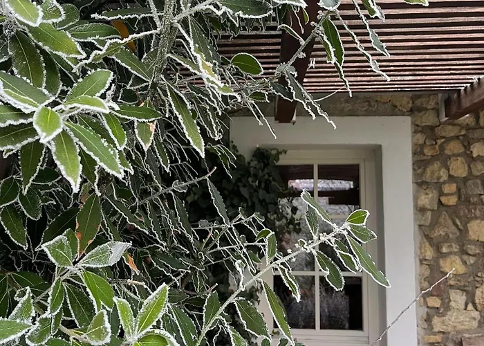 Ko, Es Kavics Vendeghazak *